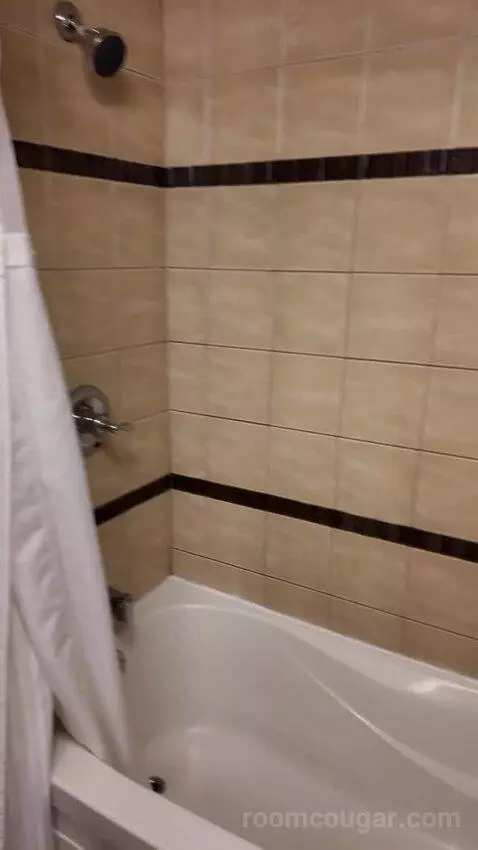 Double Room with Two Double Beds (#1713) bathroom picture #7