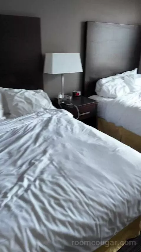Double Room with Two Double Beds (#1713) bed picture #2