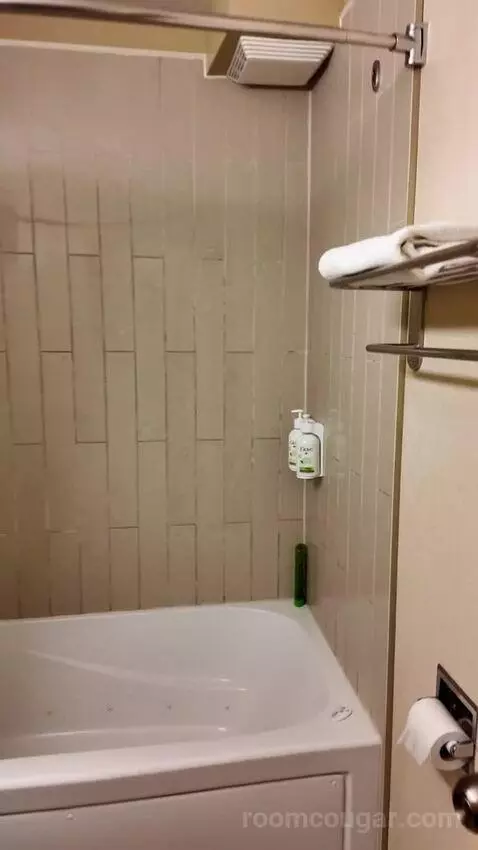 Double Room (#1030) bathroom picture #10