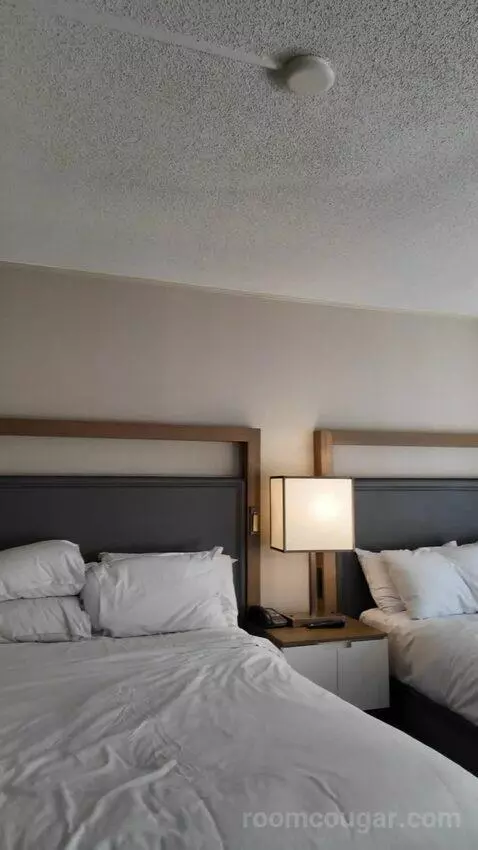 Guest Room 2 Double (#1012) picture #22