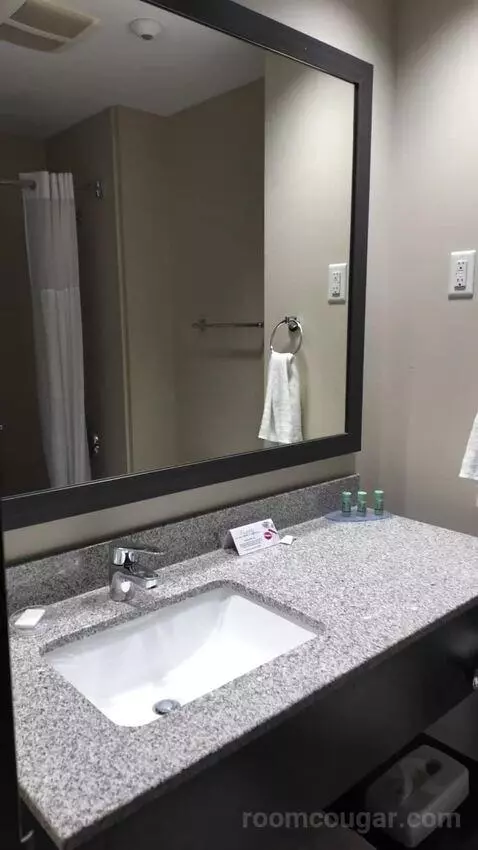 Queen Room with Two Queen Beds (#121) bathroom picture #1