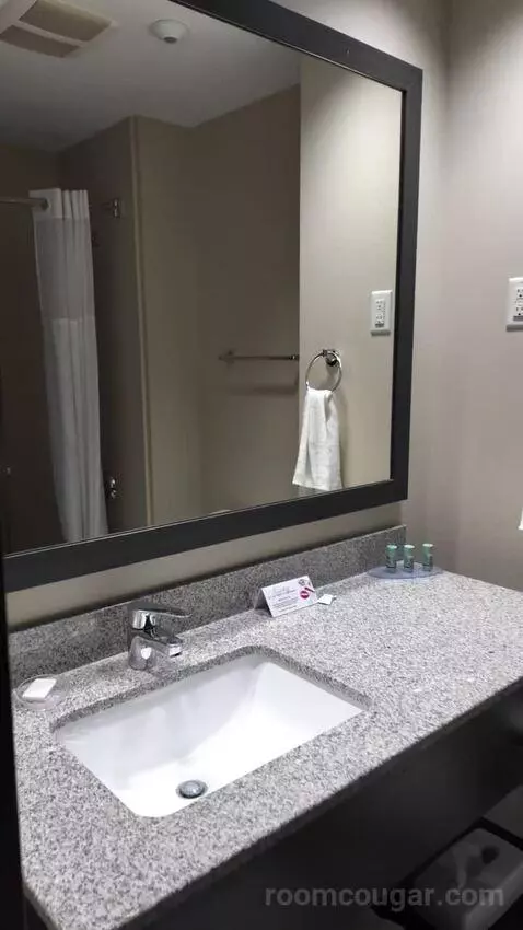 Queen Room with Two Queen Beds (#121) bathroom picture #2