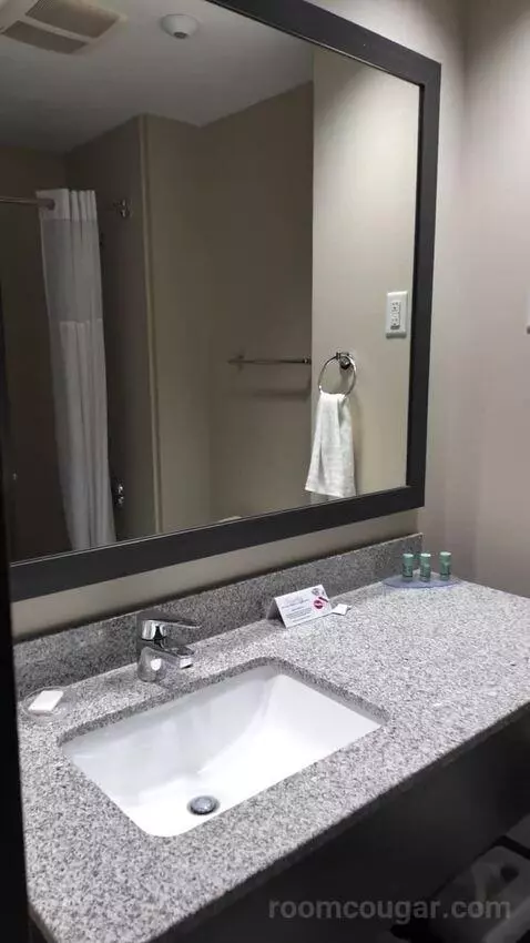 Queen Room with Two Queen Beds (#121) bathroom picture #3