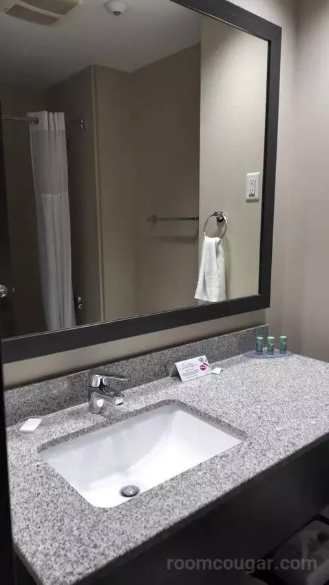 Queen Room with Two Queen Beds (#121) bathroom picture #4
