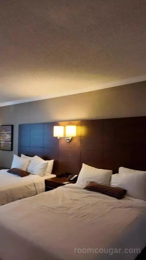 Queen Room with Two Queen Beds (#405) bed picture #1