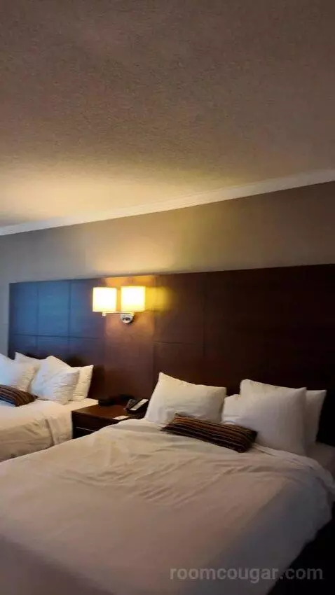 Queen Room with Two Queen Beds (#405) bed picture #2