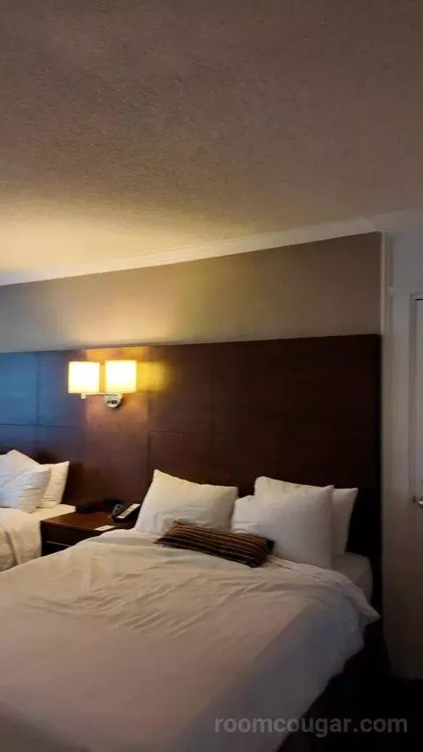 Queen Room with Two Queen Beds (#405) bed picture #3