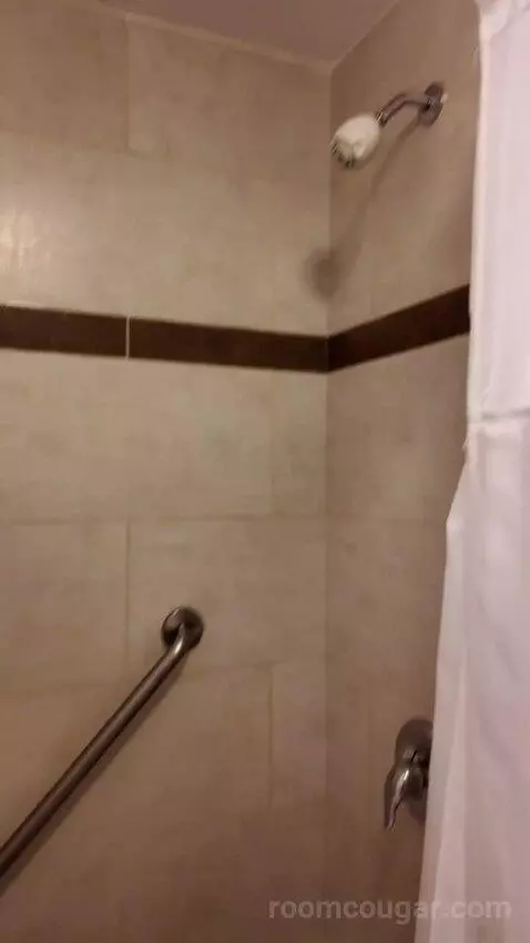 Queen Room with Two Queen Beds (#405) bathroom picture #9