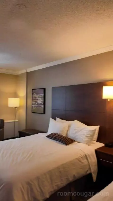 Queen Room with Two Queen Beds (#405) bed picture #6
