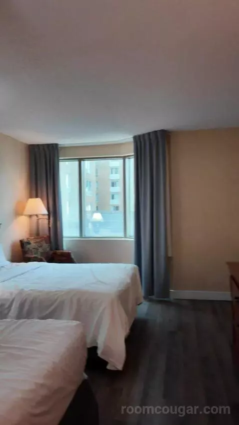 Double Room with Two Double Beds (#718) picture #2