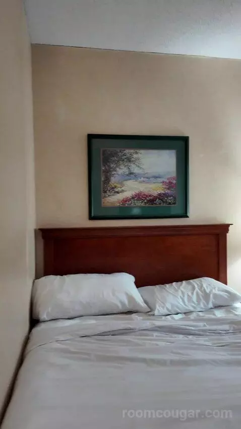 Double Room with Two Double Beds (#718) picture #3