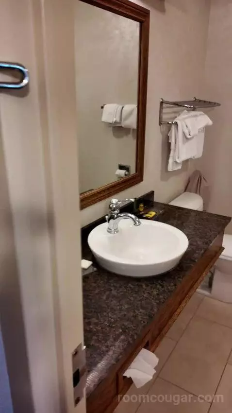Queen Room with Two Queen Beds (#207) bathroom picture #3