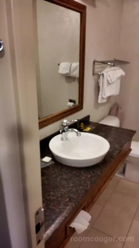 Queen Room with Two Queen Beds (#207) bathroom picture #4