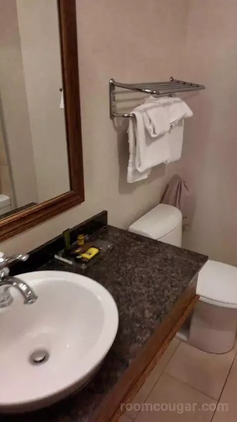 Queen Room with Two Queen Beds (#207) bathroom picture #8