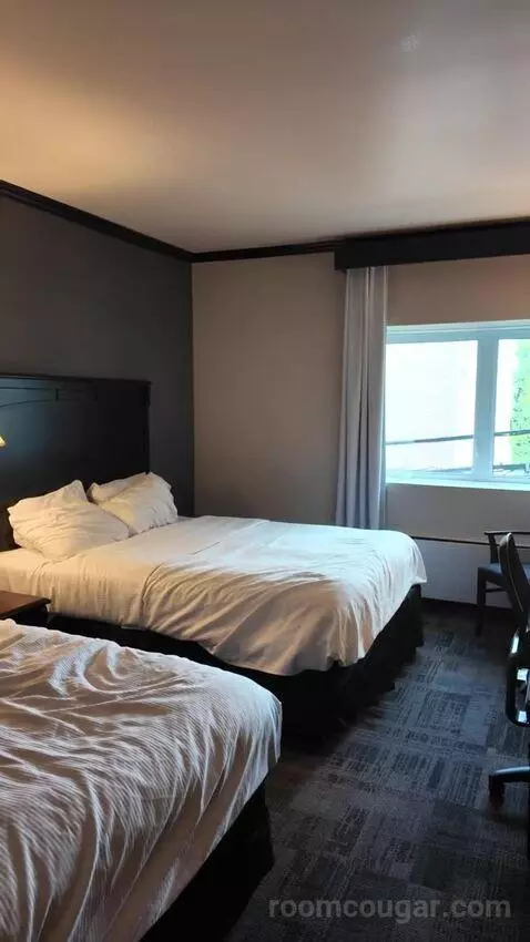Queen Room with Two Queen Beds (#207) bed picture #7
