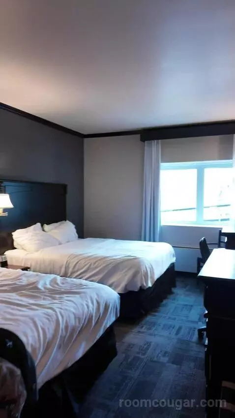 Queen Room with Two Queen Beds (#207) bed picture #1