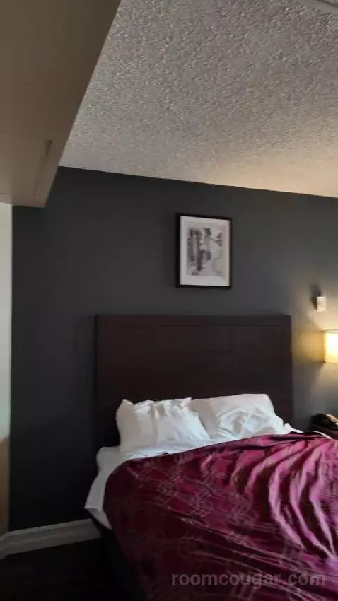 Standard (#102) bed picture #8