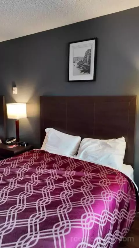 Standard (#102) bed picture #3