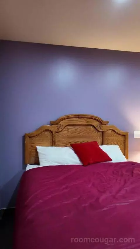 Standard (#60) bed picture #5