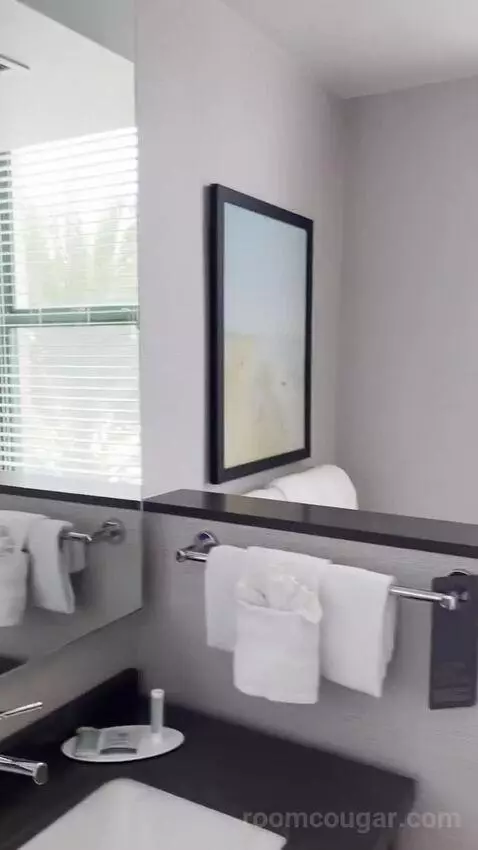 King Room bathroom picture #10