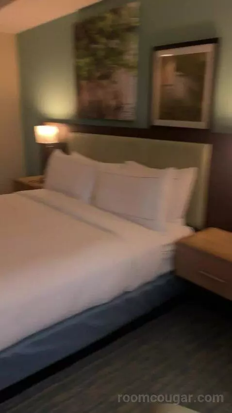 King Room (#328) picture #19