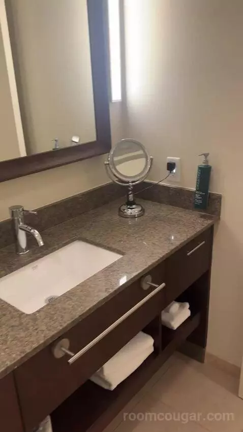 King Room (#328) bathroom picture #9