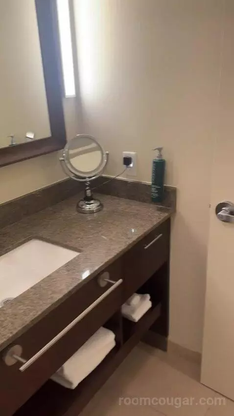 King Room (#328) bathroom picture #11