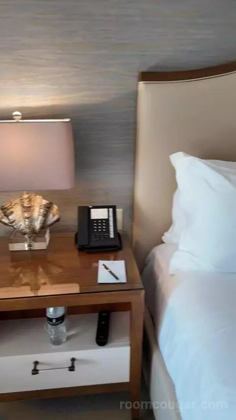 King Room with Balcony (#531) picture #13