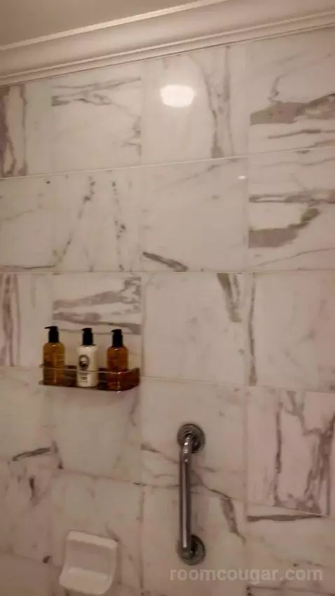 King Room with Balcony (#531) bathroom picture #4
