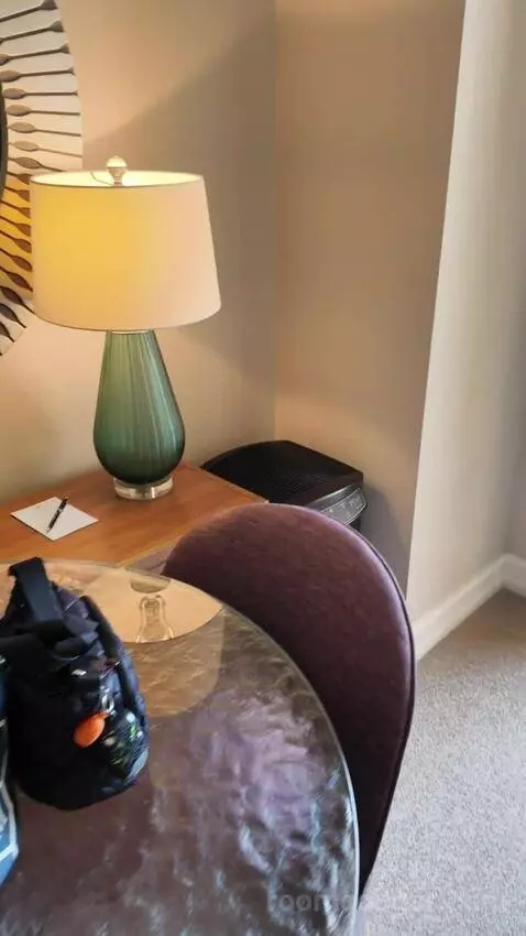 King Room with Balcony (#531) picture #8