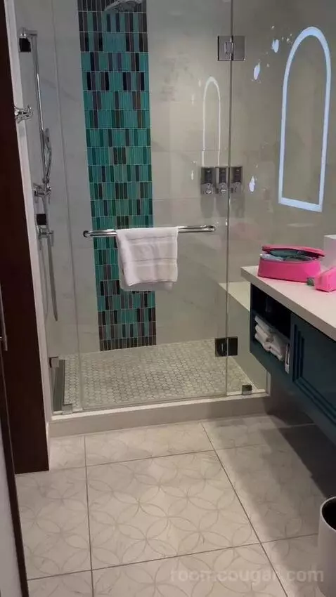 Dvc Deluxe Studio Preferred View bathroom picture #2