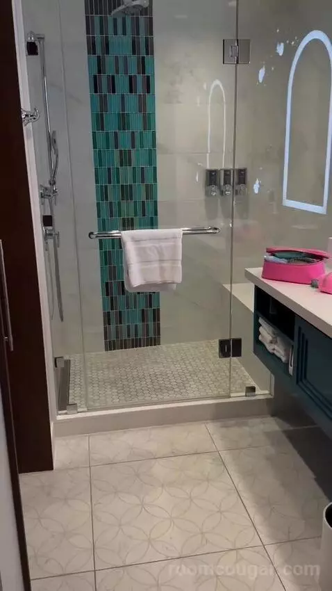 Dvc Deluxe Studio Preferred View bathroom picture #3