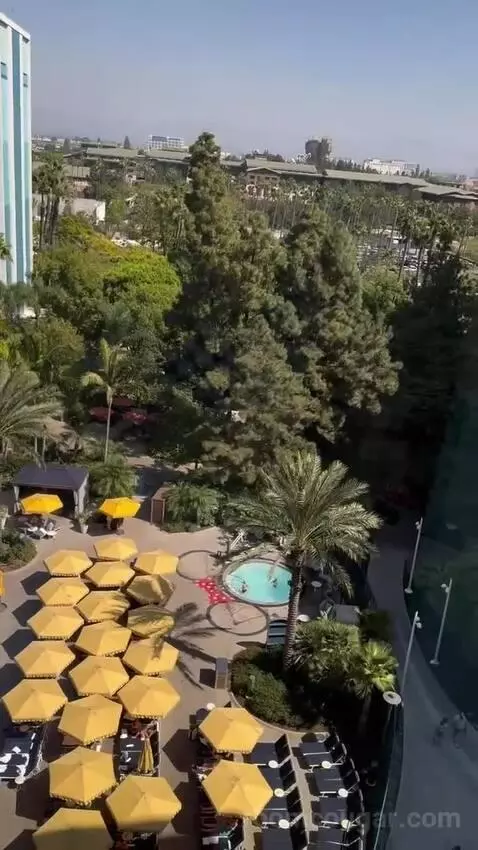 Dvc Deluxe Studio Preferred View view picture #4