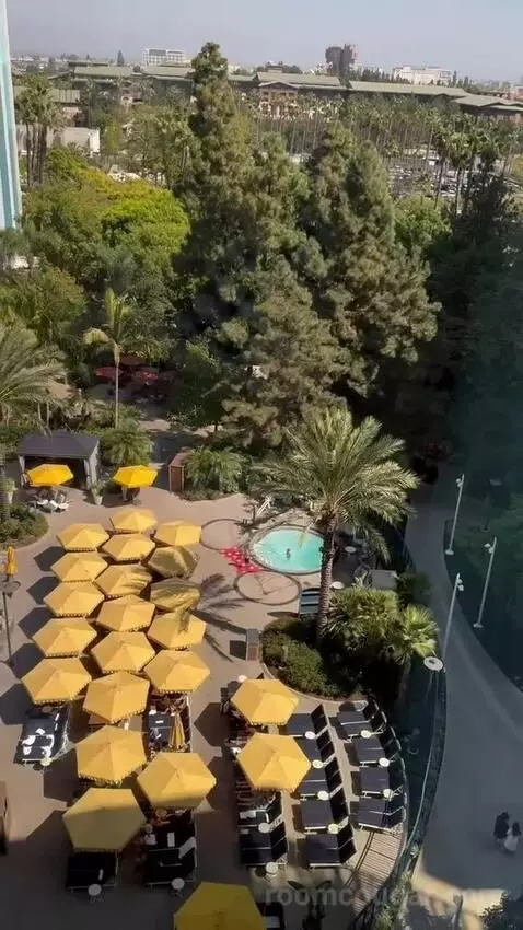 Dvc Deluxe Studio Preferred View view picture #8