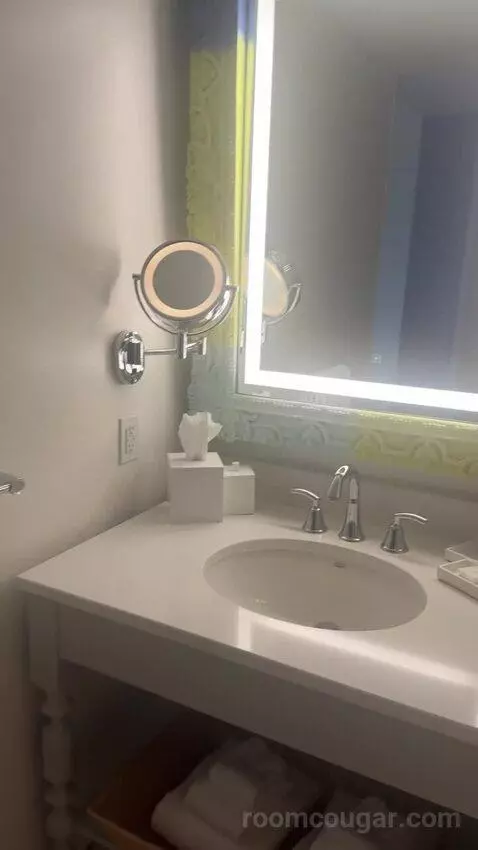Lagoon View Room - King Bed (Includes Early Park Admission*) (#3230) bathroom picture #2