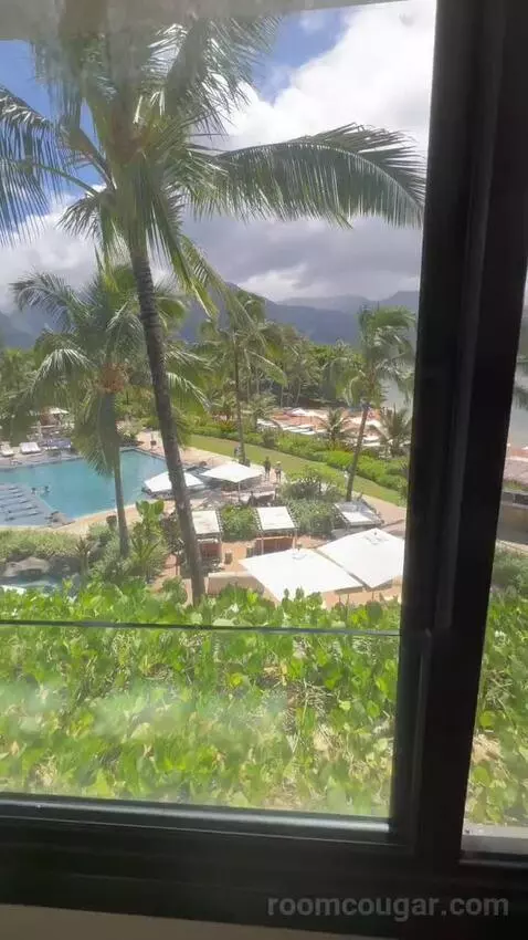 Ocean/Pool View King (#308) view picture #3