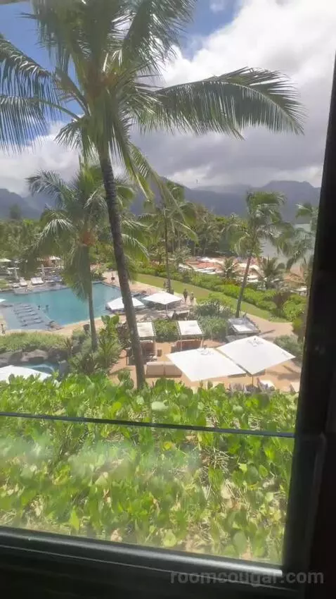 Ocean/Pool View King (#308) view picture #5