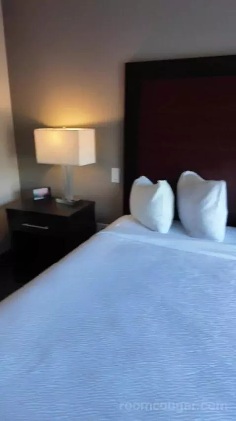 Superior King Studio Suite (#308) bed picture #2