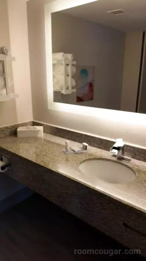 Superior King Studio Suite (#308) bathroom picture #1