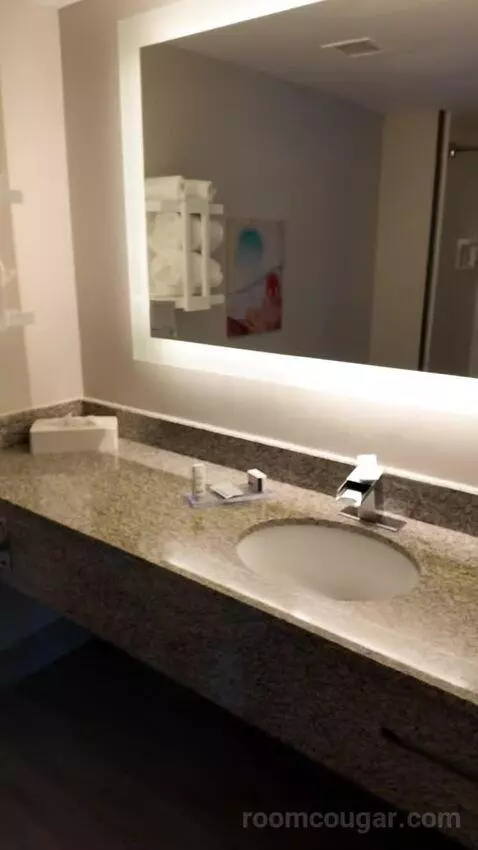 Superior King Studio Suite (#308) bathroom picture #2