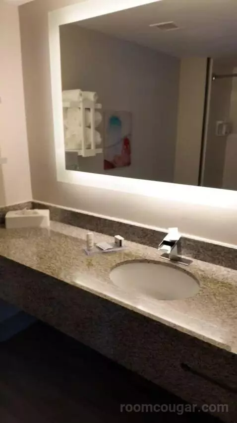 Superior King Studio Suite (#308) bathroom picture #3