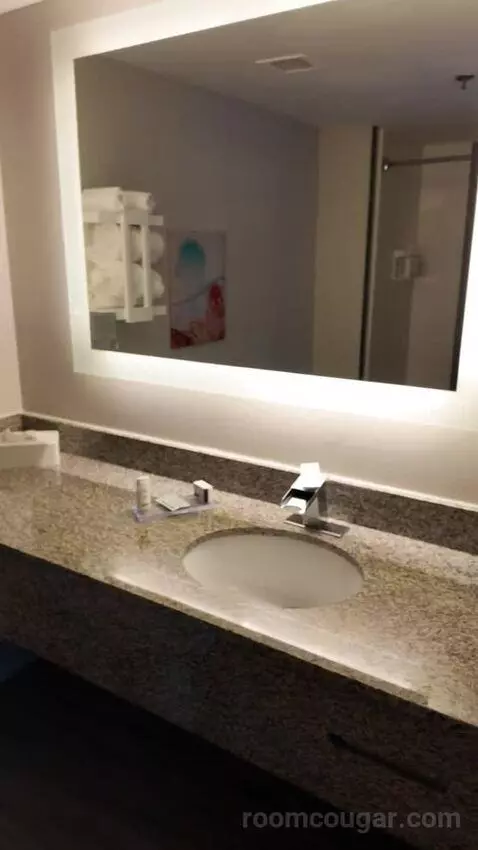 Superior King Studio Suite (#308) bathroom picture #5