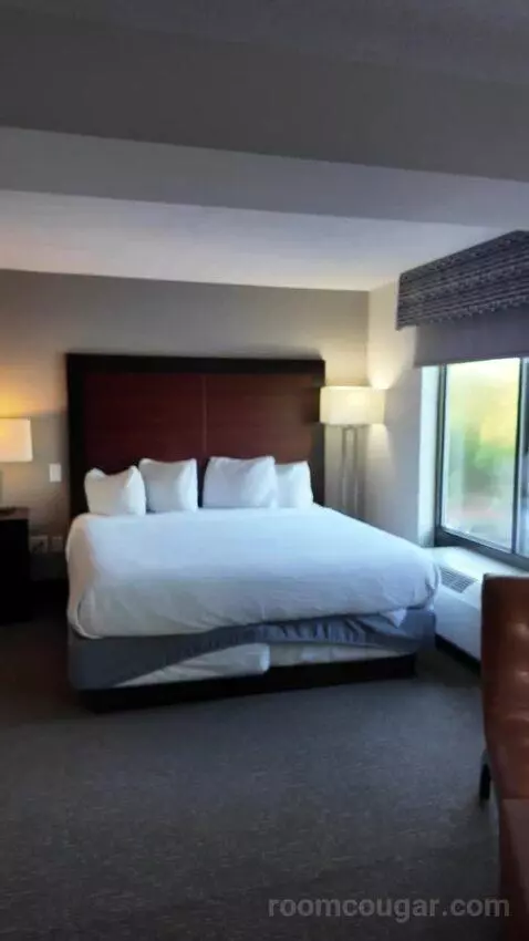 Superior King Studio Suite (#308) bed picture #9