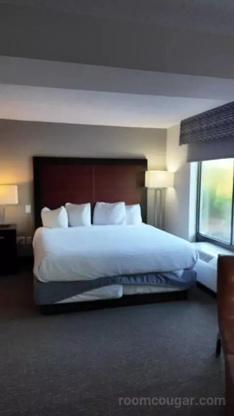 Superior King Studio Suite (#308) bed picture #11