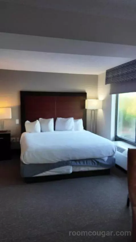 Superior King Studio Suite (#308) bed picture #12