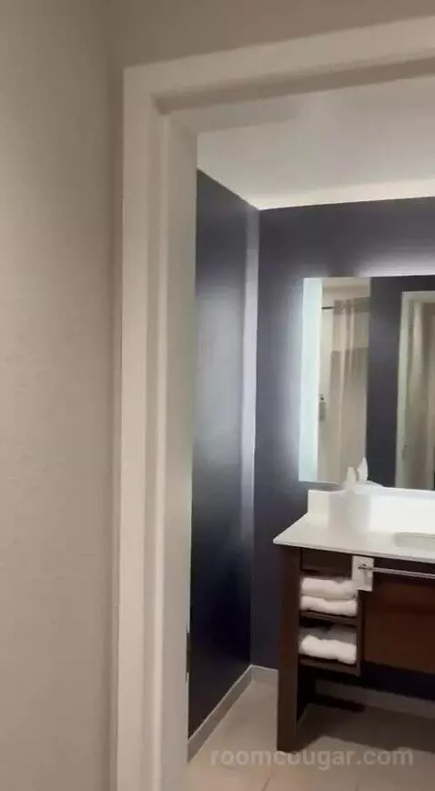 King Studio with Sofa Bed and Garden View - Hearing Accessible (#402) bathroom picture #1