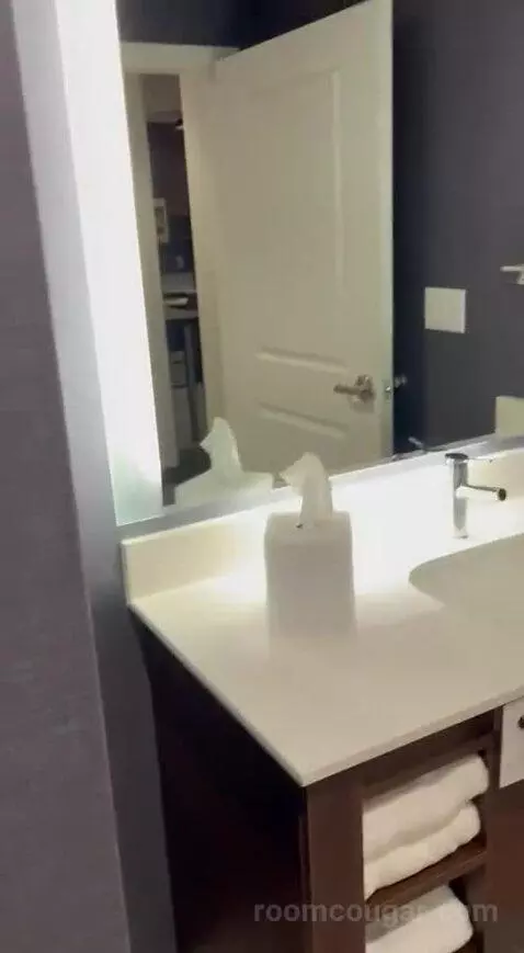 King Studio with Sofa Bed and Garden View - Hearing Accessible (#402) bathroom picture #9