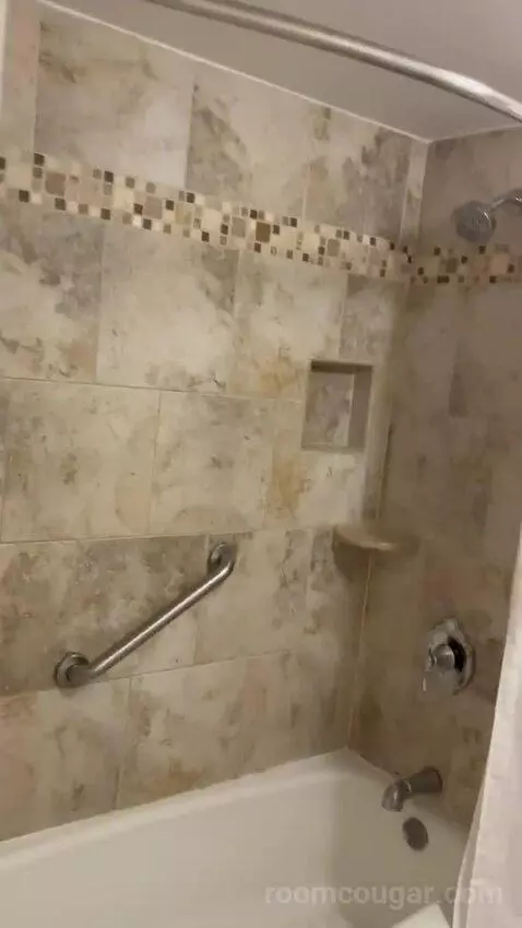 Queen Room with Two Queen Beds (#306) bathroom picture #1