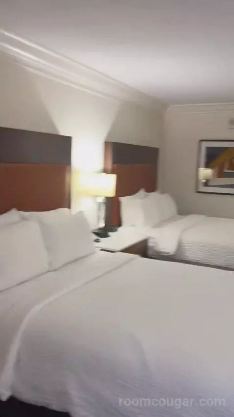 Queen Room with Two Queen Beds (#306) picture #22