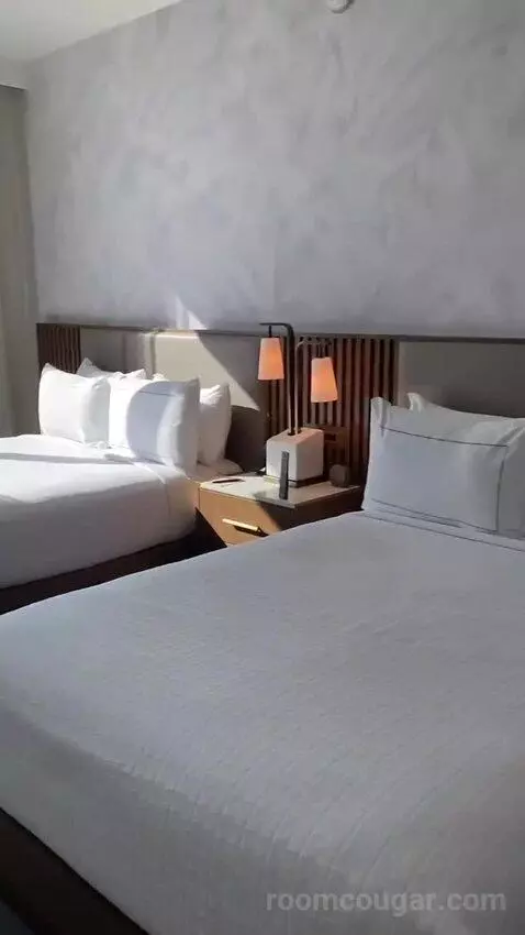 Pool Queen/Queen, Guest Room, 2 Queen, Pool View bed picture #7